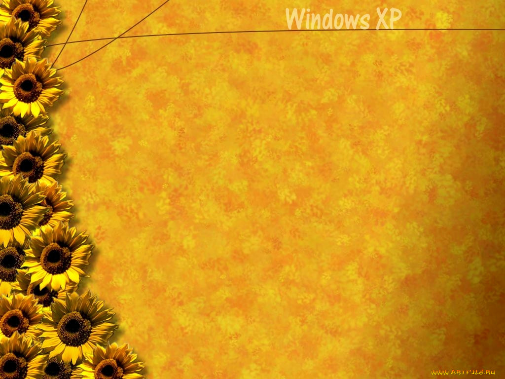, windows, xp